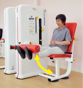 レッグエクステンション